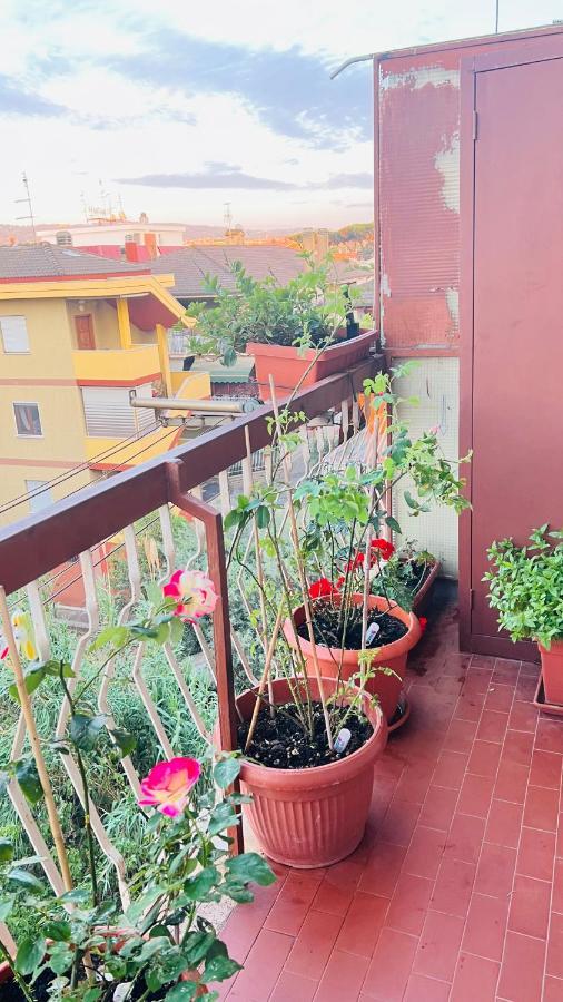Oasi di Serenità Marino Esterno foto
